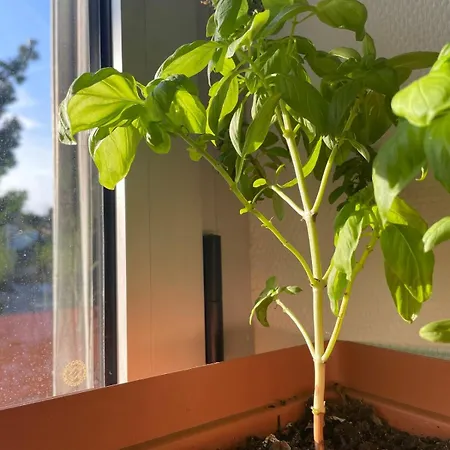 - Spacieux Entre Et Nature ! Appartement *